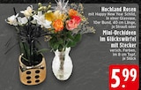 Hochland Rosen Angebote bei EDEKA Osnabrück für 5,99 €