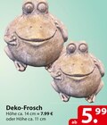 Deko-Frosch Angebot in Hammoor Deko-Frosch im aktuellen Prospekt bei famila Nordost in Hammoor