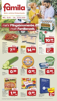 Gemüse im famila Nordwest Prospekt "Markt - Angebote" mit 47 Seiten (Oldenburg)