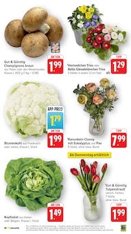 Gemüse im EDEKA Prospekt "Aktuelle Angebote" mit 62 Seiten (Heilbronn)