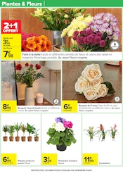 Plantes Angebote im Prospekt "Carrefour" von Carrefour Plantes Angebote im Prospekt "Carrefour" von Carrefour auf Seite 22