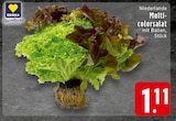 EDEKA Hörstel - Multi-colorsalat Angebot im Prospekt Multi-colorsalat bei EDEKA im Hörstel Prospekt für 1,11 €