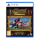 Jeu "Harry Potter : Champions de Quidditch" pour PS5 ou Switch dans le catalogue Carrefour