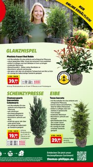 Heckenpflanzen im Thomas Philipps Prospekt "Top Angebote" mit 16 Seiten (Dresden)