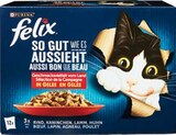 Aktuelles Katzennahrung Multipack Angebot bei Netto Marken-Discount in Erlangen ab 3,99 €
