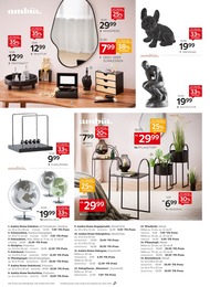 XXXLutz Möbelhäuser Kunstpflanzen im Prospekt XXXLutz Möbelhäuser Kunstpflanzen im Prospekt