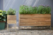Gartenpflanzen von jankurtz im aktuellen XXXLutz Möbelhäuser Prospekt für €639.00