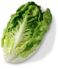 Aktuelle Salat Angebote bei Kaufland in Dortmund Aktuelles Dtsch. Mini-Romanasalat Angebot bei Kaufland in Dortmund ab 0,79 €