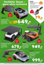 Garten im Globus-Baumarkt Prospekt in Schwäbisch Hall Aktueller Globus-Baumarkt Prospekt mit Garten, "Immer eine Idee besser", Seite 3