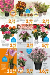 Lebensmittel Angebot & Preis im aktuellen Globus-Baumarkt Prospekt Lebensmittel Angebot im aktuellen Globus-Baumarkt Prospekt auf Seite 4