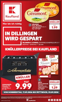 Aktueller Kaufland Prospekt "Hier bin ich richtig" Aktueller Kaufland Prospekt