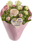 EDEKA - Hochland Rosenstrauß Fairtrade Angebot im Prospekt Hochland Rosenstrauß Fairtrade bei EDEKA im Prospekt "" für 4,99 €