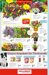 Tierfutter Angebot & Preis im aktuellen Hellweg Prospekt Tierfutter Angebot im aktuellen Hellweg Prospekt auf Seite 24