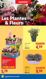 Offre Jardinière dans le catalogue Lidl du moment à la page 26