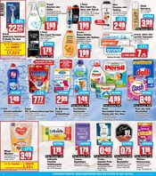Persil im HIT Prospekt in Bornheim Aktueller HIT Prospekt mit Persil, "ECHTE VIELFALT", Seite 14