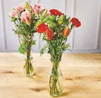 Bouquet Composé Saint Gall - Super U à Besançon Bouquet Composé Saint Gall en promo chez Super U Besançon à 5,99 €