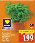 Basilikum von EDEKA Herzstücke für 1,99 € bei E center im Angebot Basilikum von EDEKA Herzstücke im aktuellen E center Prospekt
