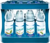 Netto Marken-Discount - Mineralwasser Angebot im Prospekt Mineralwasser bei Netto Marken-Discount im Prospekt "" für 6,29 €