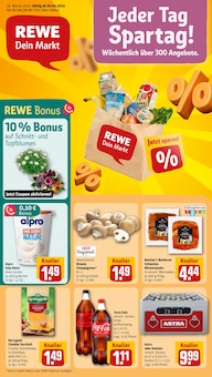 REWE Prospekt Dein Markt mit  Seiten in Otter und Umgebung