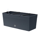 Prosperplast Blumenkasten RATO CASE anthrazit Kunststoff B/H/L: ca. 33x32x80 cm Angebote bei POCO Dortmund für 42,99 €