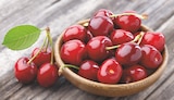 Cerise - Origine France en promo chez Netto Cerise - Origine France dans le catalogue Netto