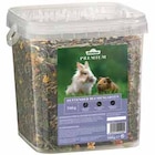 Kräutereimer von  im aktuellen Dehner Garten-Center Prospekt für 6,99 €