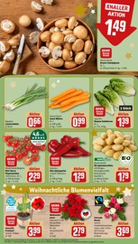 Garten im REWE Prospekt in Leipzig Aktueller REWE Prospekt mit Garten, "Dein Markt", Seite 9
