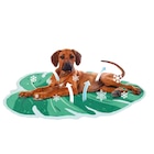 Gifi Bois-Herpin - Promo Tapis rafraichissant Promo Tapis rafraichissant à 3,68 € dans le catalogue Gifi à Bois-Herpin