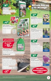 Kiebitzmarkt Blumenerde im Prospekt Kiebitzmarkt Blumenerde im Prospekt