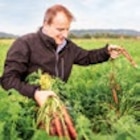 Kaufland Bad Windsheim - Dtsch. Möhren Angebot im Prospekt Dtsch. Möhren bei Kaufland im Bad Windsheim Prospekt für 0,79 €