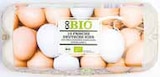 Bio Eier von GO BIO für 3,33 € bei Netto mit dem Scottie im Angebot Bio Eier von GO BIO im aktuellen Netto mit dem Scottie Prospekt