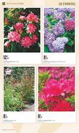 Hortensia Angebote im Prospekt "JARDIN D'AUTOMNE" von Intermarché auf Seite 4