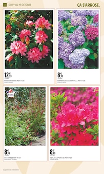 Promo Plante D'intérieur dans le catalogue Intermarché du moment à la page 4
