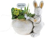 Grand lapin de Pâques dans le catalogue Lidl