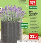 Keter Pflanzkübel „Cylinder“ im Angebot bei Thomas Philipps in Wesel Keter Pflanzkübel „Cylinder“ Angebote bei Thomas Philipps Wesel für 22,00 €