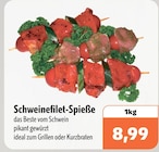 Schweinefilet-Spieße im Angebot bei aktiv & irma in Oldenburg Schweinefilet-Spieße Angebote bei aktiv & irma Oldenburg für 8,99 €