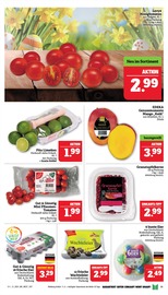 Aktueller Marktkauf Prospekt mit Mango, "GANZ GROSS in kleinsten Preisen!", Seite 11