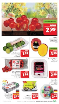 Äpfel im Marktkauf Prospekt "GANZ GROSS in kleinsten Preisen!" mit 48 Seiten (Nürnberg)