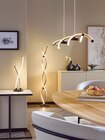 LED-Pendelleuchte von Paul Neuhaus im aktuellen Höffner Prospekt für 59,00 €