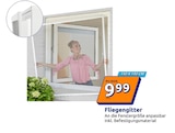 Action Beuna - Fliegengitter Angebot im Prospekt Fliegengitter bei Action im Beuna Prospekt für 9,99 €