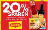 20% Rabatt Angebote von Maggi bei Netto Marken-Discount Chemnitz