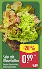 Salat mit Wurzelballen im aktuellen ALDI Nord Prospekt