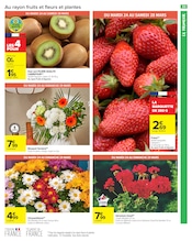 Fleurs Angebote im Prospekt "PÂQUES POUR TOUS LES GOÛTS" von Carrefour Market auf Seite 35
