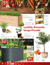 Bio Lebensmittel Angebote im Prospekt "Wir feiern, Sie sparen!" von Hellweg Bio Lebensmittel Angebote im Prospekt "Wir feiern, Sie sparen!" von Hellweg auf Seite 26