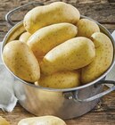 Pomme de terre de consommation à chair ferme - PRINCESSE AMANDINE en promo chez Intermarché Hyper Gap à 2,79 €