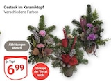Aktuelle Blumen Angebote bei GLOBUS in Oberhausen Aktuelles Gesteck im Keramiktopf Angebot bei GLOBUS in Oberhausen ab 6,99 €