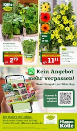 Bio Lebensmittel im Pflanzen Kölle Prospekt in Potsdam Aktueller Pflanzen Kölle Prospekt mit Bio Lebensmittel, "Ich mach´s mir schön", Seite 14