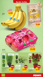 Bananen im Penny Prospekt in Krefeld Aktueller Penny Prospekt mit Bananen, "Wer günstig will, muss Penny.", Seite 3