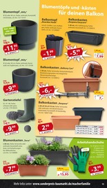 Aktueller Sonderpreis Baumarkt Prospekt mit Arbeitskleidung, "... da, wo die coolen Preise wohnen!", Seite 15