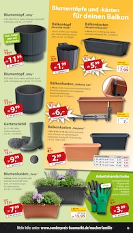 Blumentopf im Sonderpreis Baumarkt Prospekt "... da, wo die coolen Preise wohnen!" mit 20 Seiten (Bielefeld)